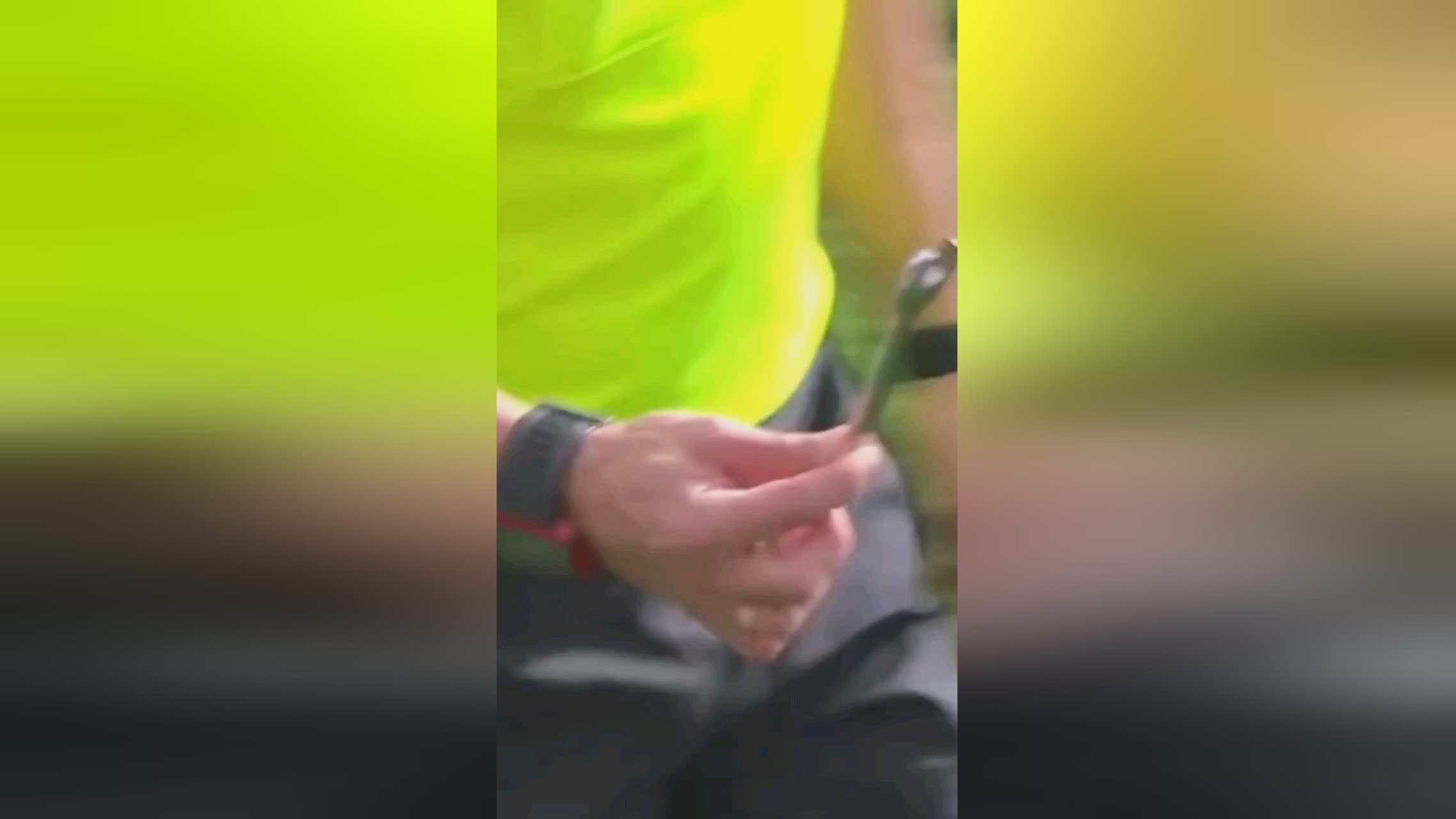 普的